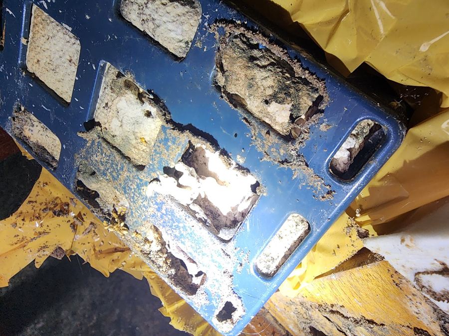 Pacific Pest Solutions work photo